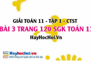 Giải bài 3 trang 120 Toán 11 tập 1 SGK Chân trời sáng tạo